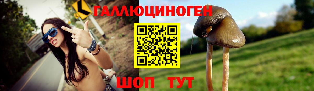 Псилоцибиновые грибы Cubensis Ангарск